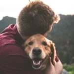 Pet Grief Counselor Certification A Compassionate Path to Helping Others Heal